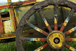 Images Dated 17th April 2009: Farmers brightly painted cow cart - Minahasa highlands
