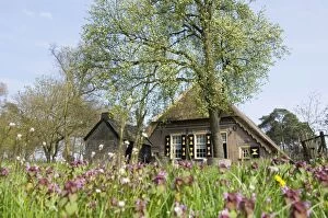 Images Dated 21st April 2008: Farmhouse - In spring with field of flowers