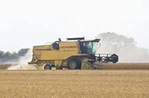 Images Dated 18th August 2009: Farming - Combine Harvester - Wheat harvest - Norfolk - UK