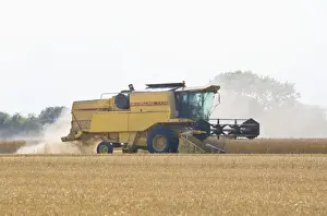 Farming - Combine Harvester - Wheat harvest - Norfolk - UK