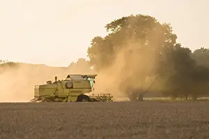 Farming - Combine Harvester - Wheat harvest at sunset - Norfolk - UK