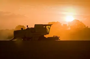 Farming - Combine Harvester - Wheat harvest at sunset - Norfolk - UK