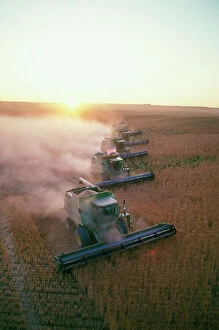 Crops Collection: Farming - combine harvester in wheatfields Montana, USA