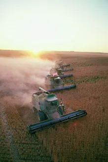 Working Collection: Farming - combine harvester in wheatfields Montana, USA