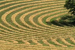 Farming - contoured, rough-ploughed fields. Palouse region of Wshington State, USA