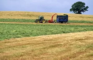 Images Dated 7th March 2007: Farming - cutting for sileage