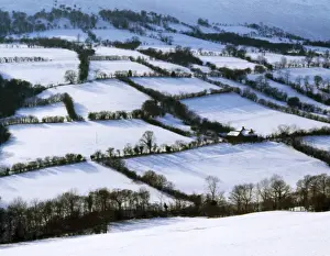 Farmland Prints: Farming - field patterns - Olchon Valley Hereford UK