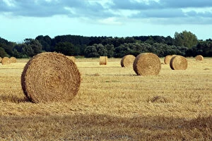 Farmland Collection: Farming - straw bales in field. Picardie - France