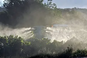 Chemicals Prints: Farming - treating / spraying vineyard. Cote du Rhone - France