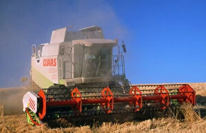 Farmland Collection: Farming - wheat harvest & combine harvester