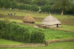 Huts Prints: Farmland - Eastern Highlands of Ethiopia - Africa