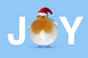 Robin Gallery: Fat Robin wearing Christmas hat, JOY Fat Robin