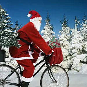 Father Christmas - on bicycle cycling past Fir Trees covered in snow Digital Manipulation: Father Christmas & presents SU - Tree ME