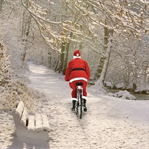 Images Dated 26th November 2010: Father Christmas - cycling through frosty Winter Scene