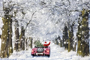 Father Christmas driving through Oak trees covered