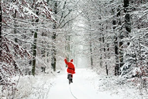 Quirky Collection: Father Christmas - riding bicycle through beech woodland - coverd in snow