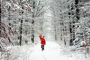 Track Prints: Father Christmas - riding bicycle through beech woodland - coverd in snow and ice Digital Manipulation