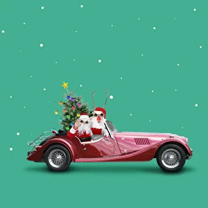 Father Christmas / Santa driving car with Rudolf