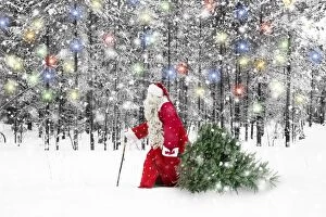 Father Christmas Santa walking through snowy landscape with tree