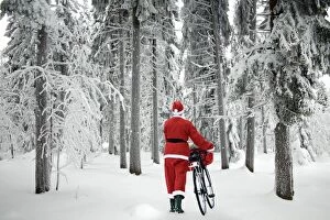 Images Dated 25th January 2010: Father Christmas - walking bicycle through trees