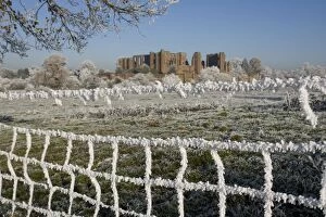 Images Dated 6th December 2010: Fence covered in hoarfrost - Kenilworth Castle in background