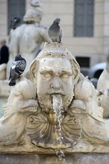 Images Dated 27th October 2005: Feral Pigeons - standing on fountains