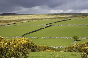 Pastural Prints: Fertile valley farmland with moors above Princetown area