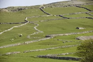 Images Dated 10th May 2006: Field patterns of different ages at Malham, Yorkshire Dales. National Park