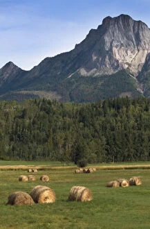 Alberta Gallery: Fields with bailed hay, Alberta, Canada