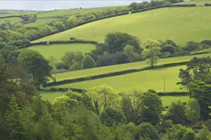Hedges Prints: Fields around Malmsmead Exmoor National Park, Somerset UK LA000375