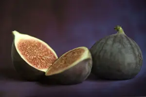 Fig - in studio