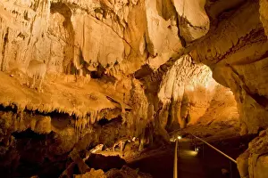 Stalactites Prints: Fig Tree Cave - a path leads through calcite formations in Fig Tree cave - Wombeyan Caves Karst Conservation Reserve