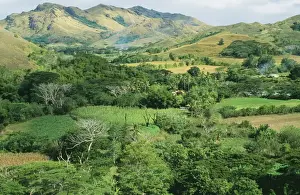 Fiji Prints: Fiji JPF 8801 Sigatoka valley gardens