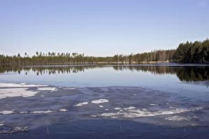 Finland - lake & Taiga forest