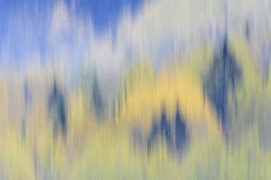 Finland, Nuuksio National Park. Abstract