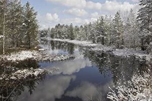 Finland - pine forest & water
