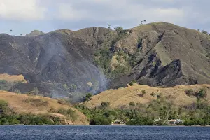 Fires Prints: Fire - bush fire on Flores Island - Indonesia