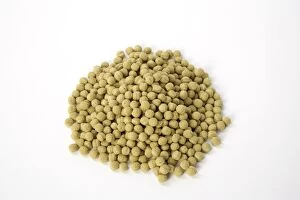 Images Dated 23rd May 2007: Fish Food pellets