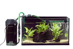 Aquariums Gallery: Fish Tank - exterior pump with filter