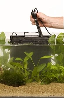 Aquariums Gallery: Fish Tank - with thermostat