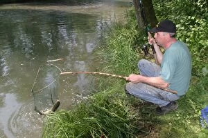 Fisherman / Angler - catches European Chub, a freshwater