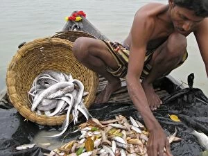 Images Dated 17th January 2007: Fisherman with catch Sunderbands