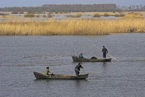 Activity Gallery: Fishermen bring in their harvest of fish