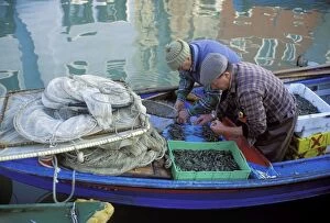 Fishermen - sorting catch on back of boat