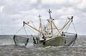 Fishing boat fishing with net