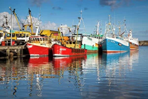 Harbour Collection: Fishing boats - Newlyn Harbour - Cornwall - UK