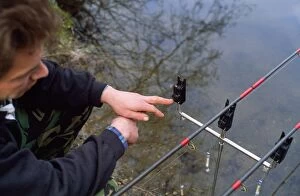Angler Gallery: Fishing - carp angler by rods on rets checking alarms
