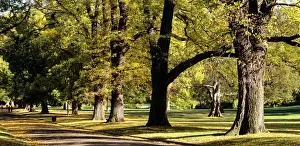 Fitzroy Gardens Melbourne, Victoria, Australia JLR07067