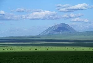 FL-3269 Ol Doinyo Lengai - Volcano Sacred to Maasai & Wildebeeste Rift Valley