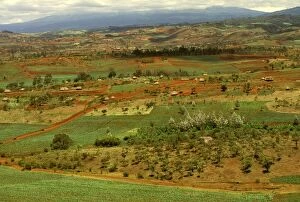 FL-3271 Aerial: cultivated land and human habitation near Ngorongoro Conservation Zone